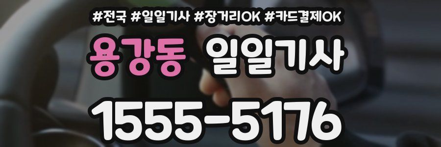 용강동 일일기사