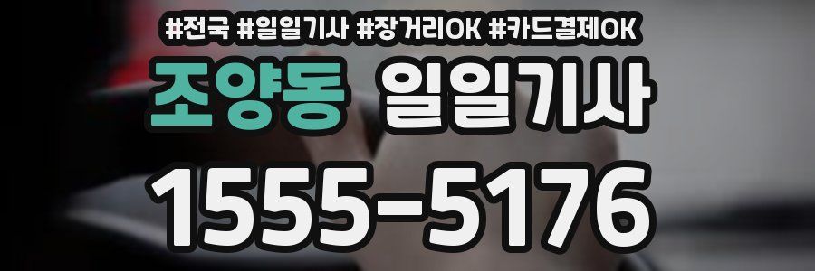 조양동 일일기사