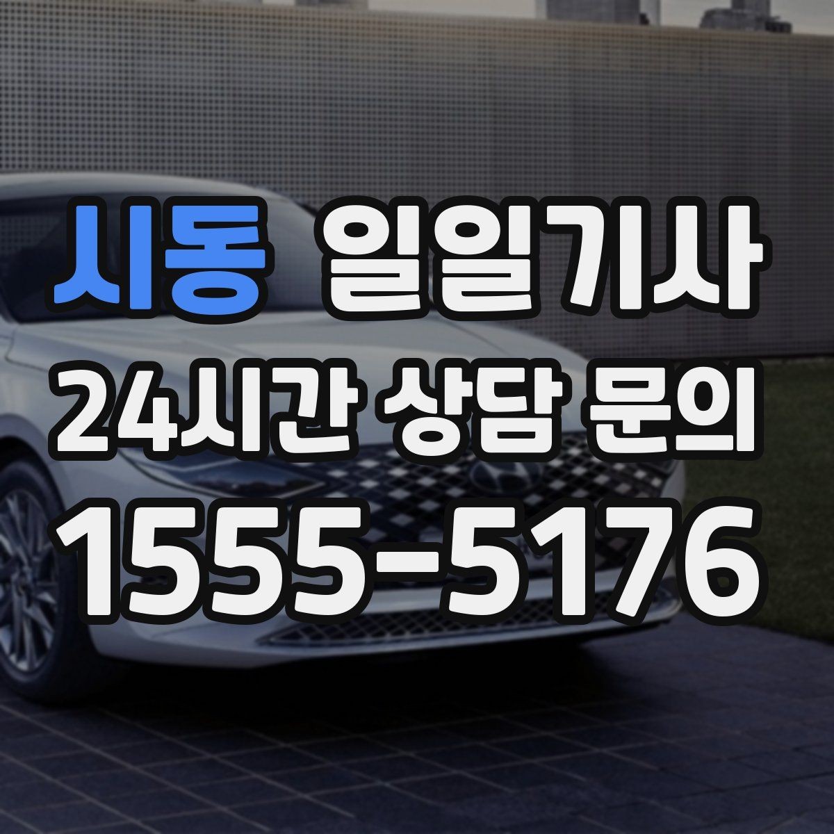 시동 일일기사 골프 라운드 전후 이동을 책임