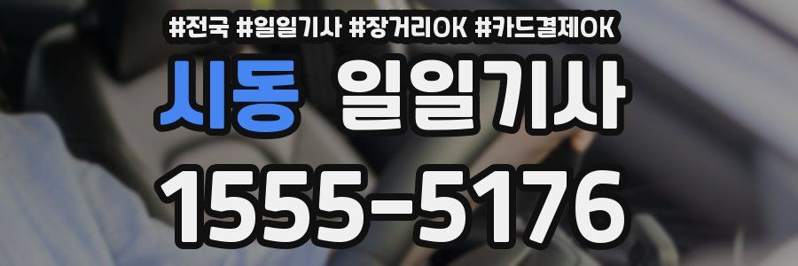 시동 일일기사