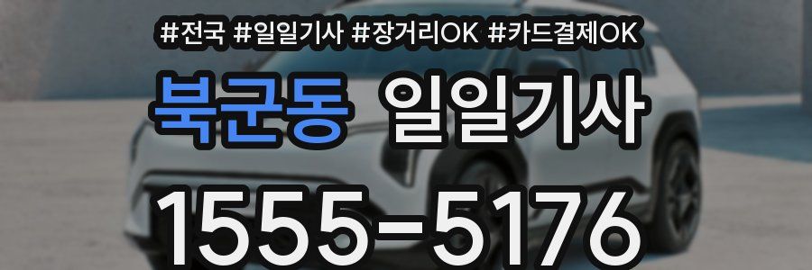 북군동 일일기사