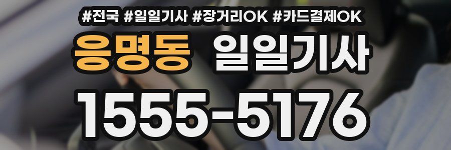 응명동 일일기사