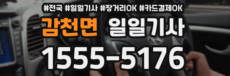 감천면 일일기사