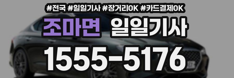 조마면 일일기사