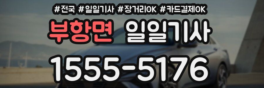 부항면 일일기사