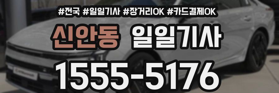 신안동 일일기사