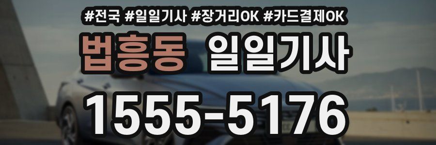 법흥동 일일기사