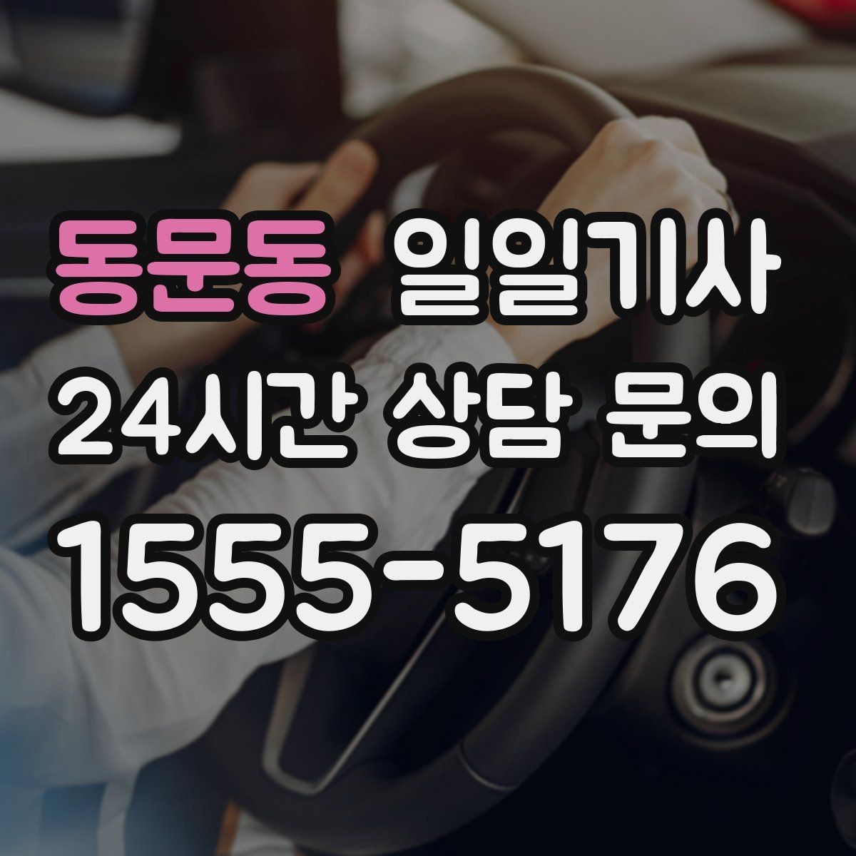 동문동 일일기사 안전벨트 기본 준수 철저
