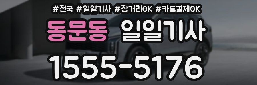 동문동 일일기사