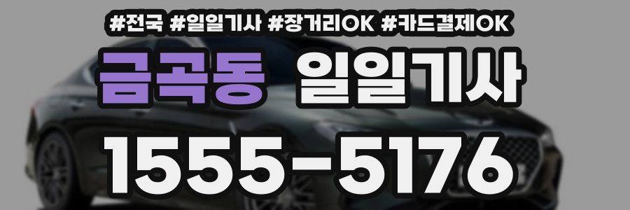 금곡동 일일기사