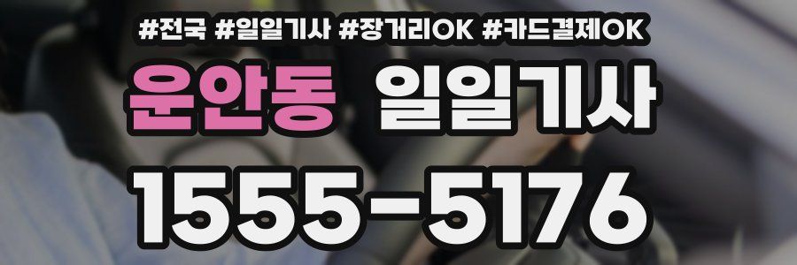 운안동 일일기사