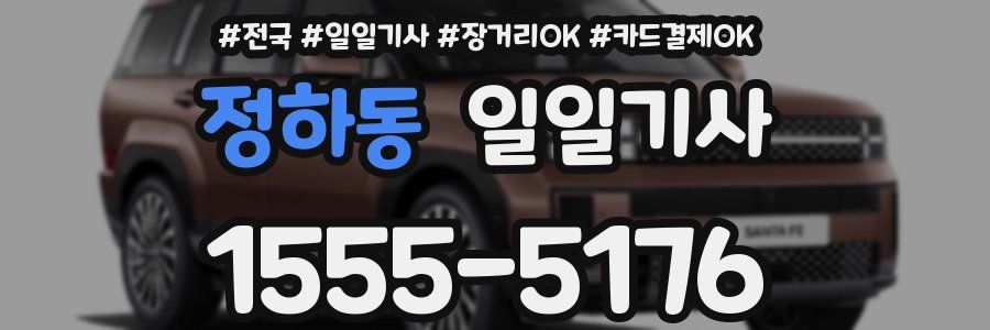 정하동 일일기사