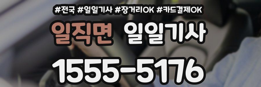 일직면 일일기사