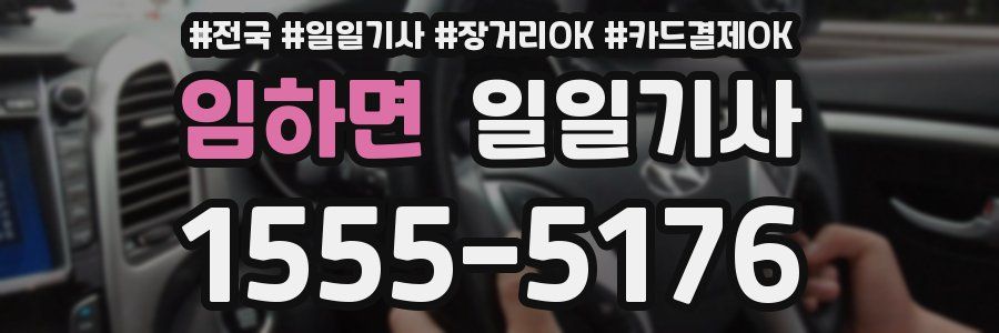 임하면 일일기사