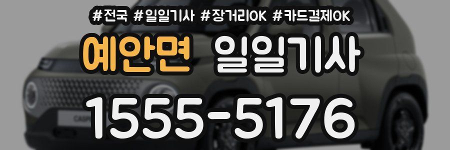 예안면 일일기사