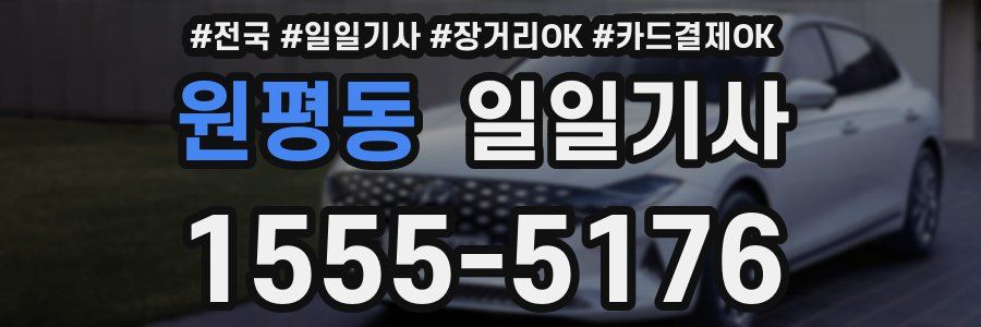 원평동 일일기사