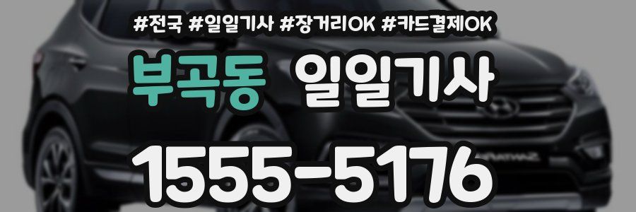 부곡동 일일기사