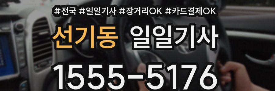 선기동 일일기사