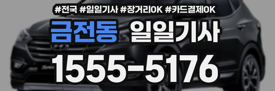 금전동 일일기사
