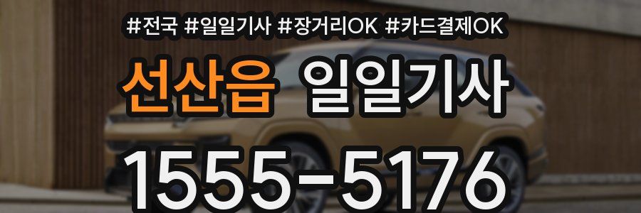 선산읍 일일기사