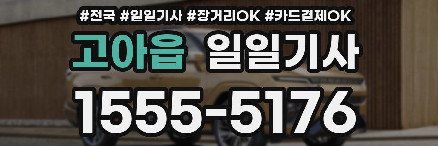 고아읍 일일기사