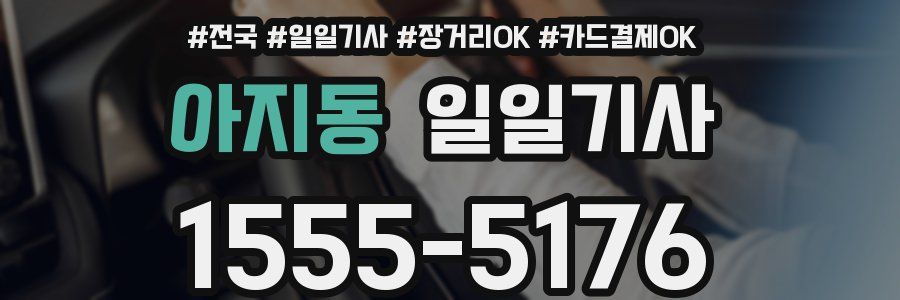 아지동 일일기사