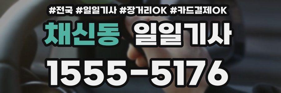 채신동 일일기사