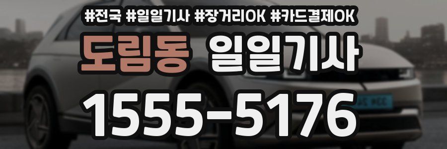 도림동 일일기사