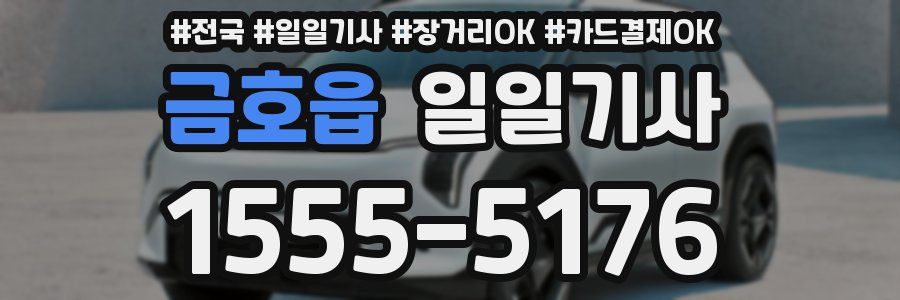 금호읍 일일기사