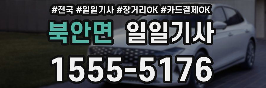 북안면 일일기사