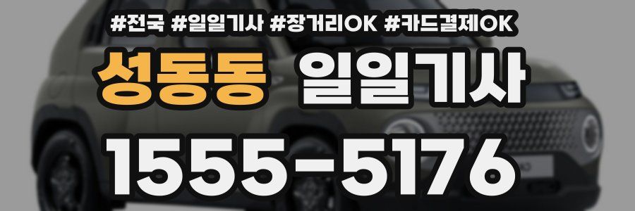 성동동 일일기사