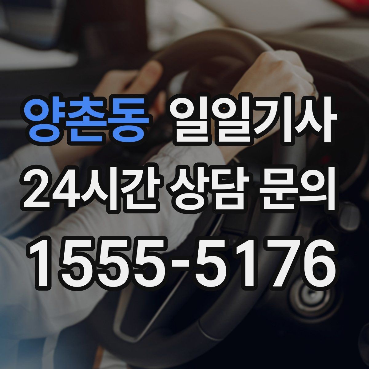 양촌동 일일기사 반일 전담 스케줄
