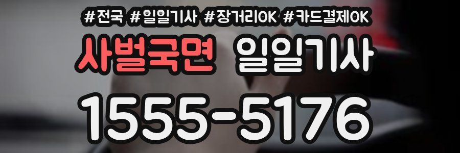 사벌국면 일일기사