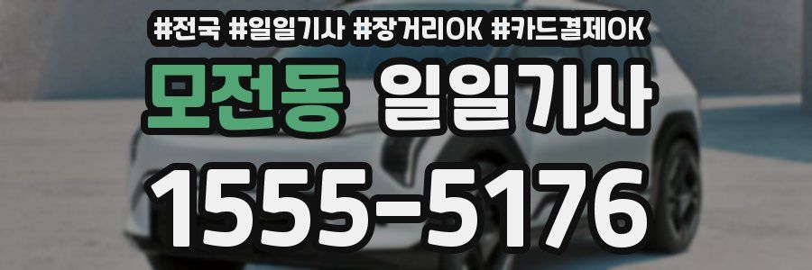 모전동 일일기사