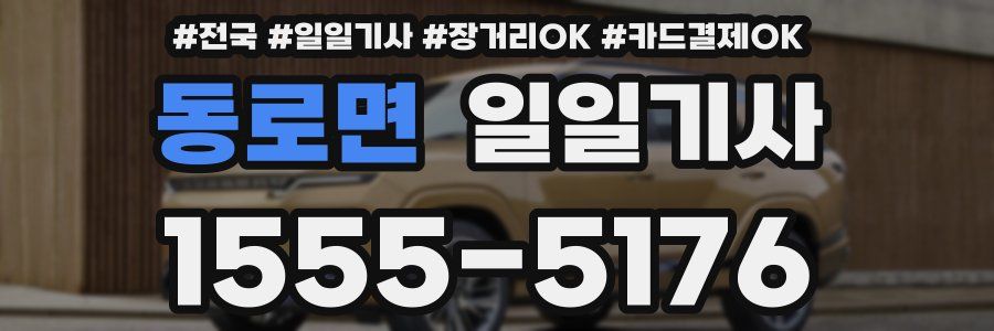 동로면 일일기사