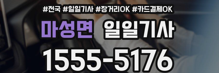 마성면 일일기사