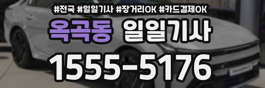 옥곡동 일일기사