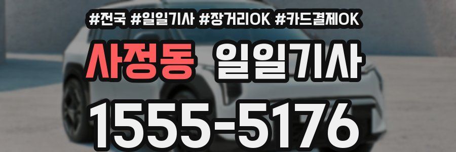 사정동 일일기사