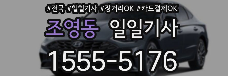 조영동 일일기사