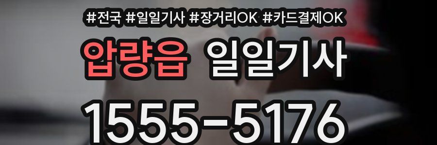 압량읍 일일기사