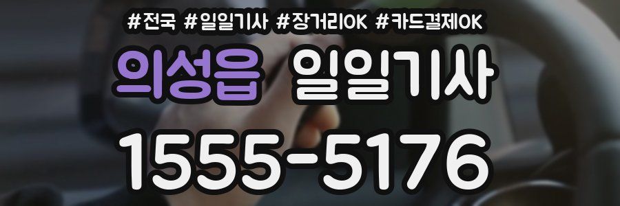 의성읍 일일기사