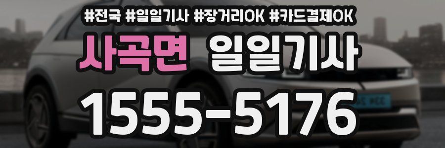 사곡면 일일기사