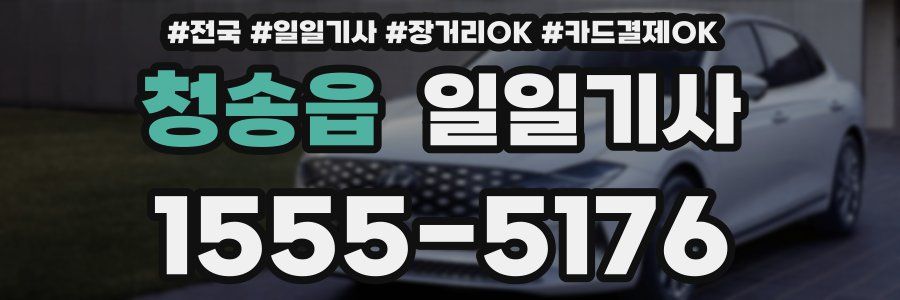 청송읍 일일기사