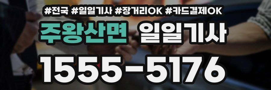 주왕산면 일일기사