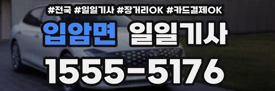 입암면 일일기사