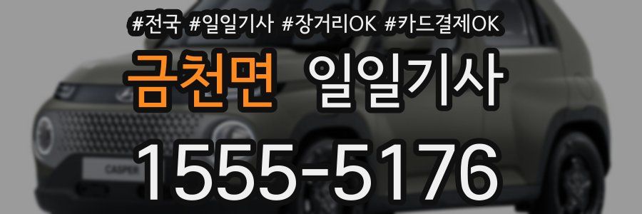 금천면 일일기사