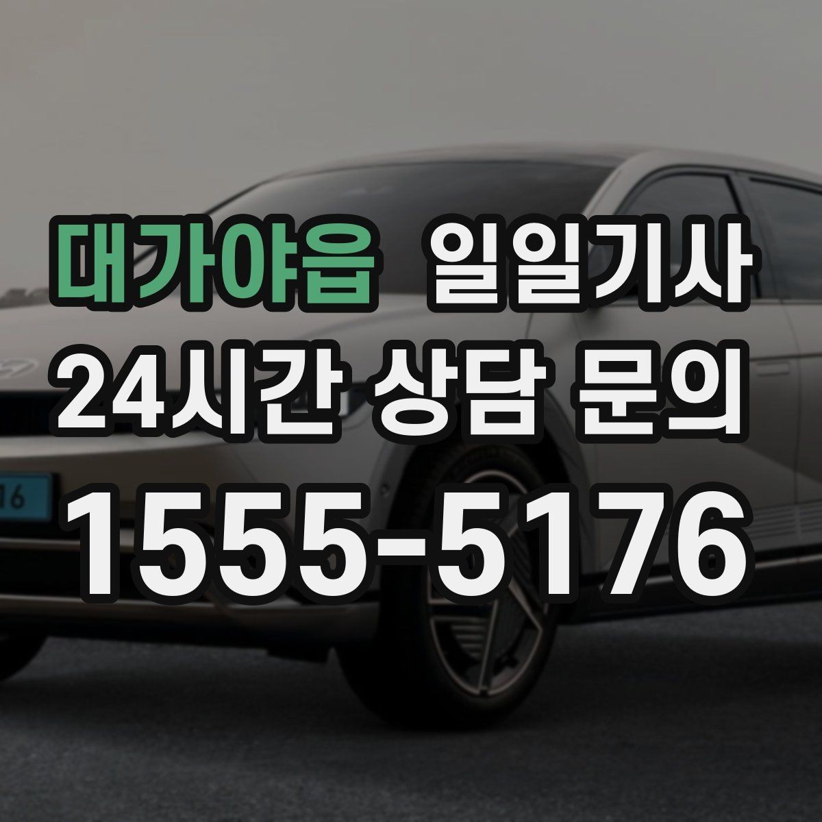 대가야읍 일일기사 대형 짐 안전 적재 하차