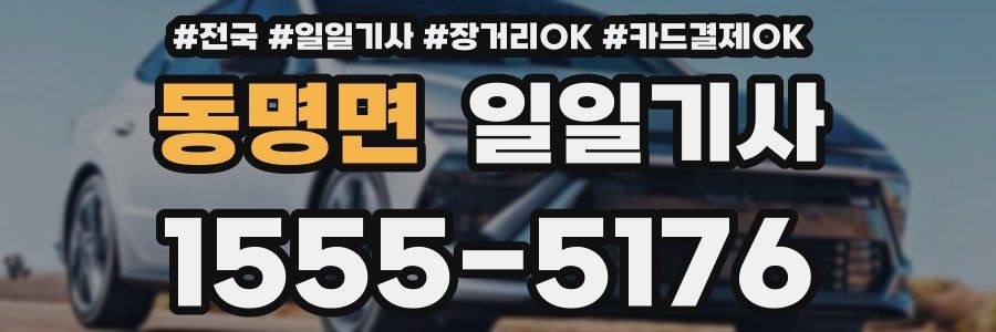 동명면 일일기사