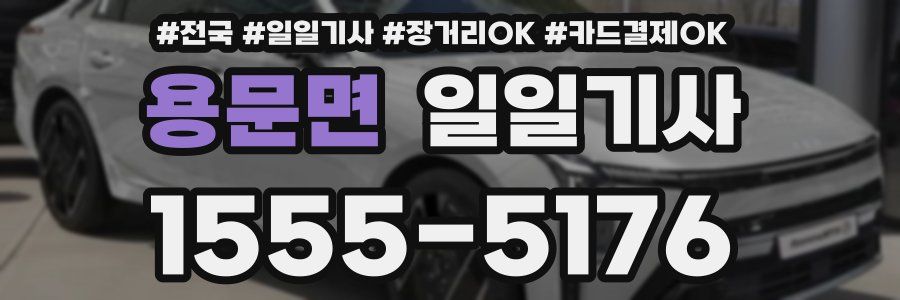 용문면 일일기사