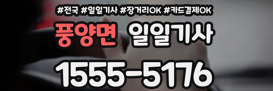 풍양면 일일기사